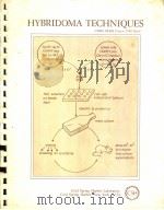 HYBRIDOMA TECHNIQUES（ PDF版）