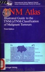 TNM Atlas PDF电子版封面 0387177213 B.Spiessl O.H.Beahrs