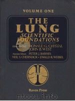 THE LUNG SCIENTIFIC FOUNDATIONS VOLUME 1 PDF电子版封面 0881676292