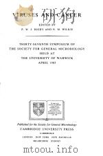VIRUSES AND CANCER PDF电子版封面 P.W.J.RIGBY AND N.M.WILKIE
