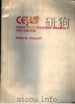 CELLS PRINCIPLES OF MOLECULAR STRUCTURE AND FUNCTION PDF电子版封面 0867200928 DAVID M.PRESCOTT