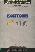 MODERN PROBLEMS IN CONDENSED MATTER SCIENCES VOLUME 2 EXCITONS PDF电子版封面 0444862021 E.I.RASHBA M.D.STURGE