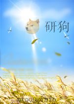 EXPLORATION FONCTIONNELLE DU FOIE ET INSUFFISANCE HEPATIQUE NIMEURE PDF电子版封面