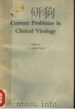 CURRENT PROBLEMS IN OLINICAL VIRLOLGY PDF电子版封面 J.E.BANAT-VALA.