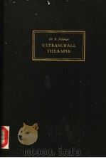 DIE ULTR ASCHALLTHERAPIE PDF电子版封面