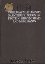 MOLECULAR MECHANISMS OF ANTIBIOTIC ACTION ON PROTEIN BIOSYNTHESIS AND MEMBRANES PDF电子版封面 E.MUNOZ F.GARIA-FERRANDIZ AND