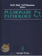 PULMONARY PATHOLOGY PDF电子版封面 3540964916 HERBERT SPENCER
