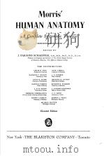 MORRRIS‘HUMAN ANATOMY A COMPLETE SYSTEMATIC TREATISE PDF电子版封面 EDITED BY J. PARSONS SCNAEFFER