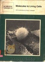SCIENTIFIC AMERICAN MOLECULES TO LIVING CELLS PDF电子版封面 0716712091 PHILIP C.HANAWALT