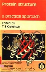 PROTEIN STRUCTURE A PRACTICAL APPROACH PDF电子版封面 0199630011 T E CREIGHTON