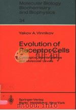 EVOLUTION OF RECEPTOR CELLS PDF电子版封面 3540110836 YAKOV A.VINNIKOV
