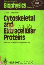 BIOPHYSICS AND SYNCHROTRON RADIATION VOLUME 3 PDF电子版封面 3540500677 A.BIANCONI AND A.CONGIU CASTEL