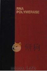 RNA POLYMERASE PDF电子版封面 R.LOSICK M.CHAMBERLIN