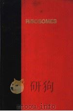 RIBOSOMES PDF电子版封面 M.NOMURA A.TISSIERES P.LENGY