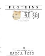 PROTEINS STRUCTURES AND MOLECULAR PRINCIPLES PDF电子版封面 071671566X
