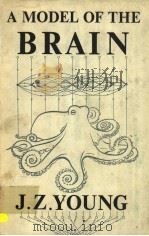 A MODEL OF THE BRAIN PDF电子版封面 J.Z.YOUNG