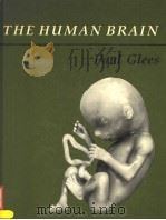 THE HUMAN BRAIN PDF电子版封面 0521249740 PAUL GLEES
