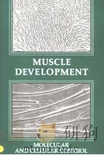 MUSCLE DEVELOPMENT MOLECULAR AND CELLULAR CONTROL PDF电子版封面 0879691549 MARK L.PEARSON HENRY F.EPSTEI