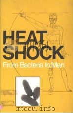 HEAT SHOCK FROM BACTERIA TO MAN PDF电子版封面 0879691581