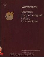 WORTHINGTON ENZYME MANUAL PDF电子版封面