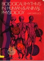 BIOLOGICAL RHYTHMS IN HUMAN AND ANIMAL PHYSIOLOGY PDF电子版封面 GAY GAER LUCE