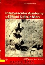 INTRAVASCULAR ANATOMY OF BLOOD CELLS IN MAN PDF电子版封面