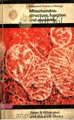 MITOCHONDRIA:STRUCTURE,FUNCTION AND ASSEMBLY PDF电子版封面 0582443822 PETER A.WHITTAKER AND SUSAN M.