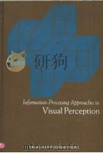 INFORMATION-PROCESSING APPROACHES TO VISUAL PERCEPTION PDF电子版封面