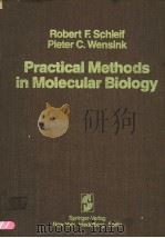 PRACTICAL METHODS IN MOLECULAR BIOLOGY PDF电子版封面 0387906037 ROBERT F.SCHLEIF PIETER C.WEN