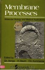 MEMBRANE PROCESSES MOLECULAR BIOLOGY AND MEDICAL APPLICATIONS PDF电子版封面 0387909605 GHEORGHE BENGA HAROLD BAUM FRE