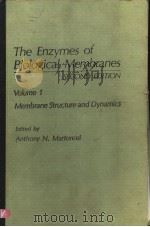 THE ENZYMES OF BIOLOGICAL MEMBRANES SECOND EDITION VOLUME 1 MEMBRANE STRUCTURE AND DYNAMICS PDF电子版封面 ANTHONY N. MARTONOSI