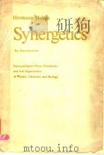 SYNERGETICS PDF电子版封面 0387078851