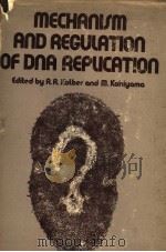 MECHANISM AND REGULATION OF DNA REPLICATION PDF电子版封面 0306308185 ALAN R.KOLBER AND MASAMICHI KO