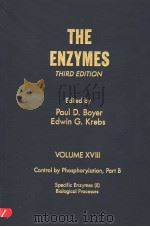 THE ENZYMES VOLUME XVIII CONTROL BY PHOSPHORYLATION PART B SPECIFIC ENZYMES (Ⅱ) BIOLOGICAL PROCESSES     PDF电子版封面  0121227189  PAUL D.BOYER  EDWIN G.KREBS 