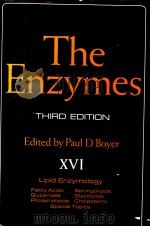 THE ENZYMES VOLUME XVI LIPID ENZYMOLOGY FATTY ACIDS GLYCERIDES PHOSPHOLIPIDS SPHINGOLIPIDS GLYCOLIPI PDF电子版封面 0121227162 PAUL D.BOYER