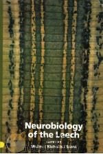 NEUROBIOLOGY OF THE LEECH PDF电子版封面 0879691468 KENNETH J.MULLER JOHN G.NICHO