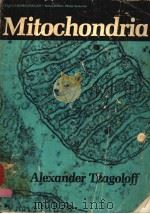 MITOCHONDRIA ALEXANDER TZAGOLOFF PDF电子版封面 030640799X PHILIP SIEKEVITZ