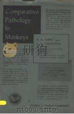 COMPARATIVE PATHOLOGY IN MONKEYS     PDF电子版封面    B.A.LAPIN AND L.A.YAKOVLEVA 