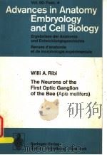 THE NEURONS OF THE FIRST OPTIC GANGLION OF THE BEE(APIS MELLIFERA) PDF电子版封面 0387070966 WILLI A.RIBI