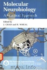 MOLECULAR NEUROBIOLOGY A PRACTICAL APPROACH（1991 PDF版）