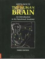 THE HUMAN BRAIN AN INTRODUCTION TO ITS FUNCTIONAL ANATOMY PDF电子版封面 0801674832 JOHN NOLTE