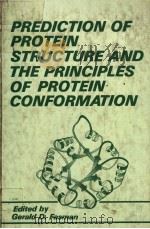 PREDICTION OF PROTEIN STRUCTURE AND THE PRINCIPLES OF PROTEIN CONFORMATION PDF电子版封面 0306431319 GERALD D.FASMAN