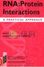 RNA:PROTEIN INTERACTIONS A PRACTICAL APPROACH（1998 PDF版）
