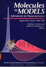 MOLECULES TO MODELS ADVANCES IN NEUROSCIENCE PDF电子版封面 0871683520 KATRINA L.KELNER AND DANIEL E.