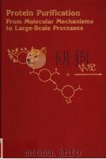PROTEIN PURIFICATION FROM MOLECULAR MECHANISMS TO LARGE-SCALE PROCESSES     PDF电子版封面  0841217904   
