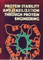 PROTEIN STABILITY AND STABILIZATION THROUGH PROTEIN ENGINEERING PDF电子版封面 0137217889