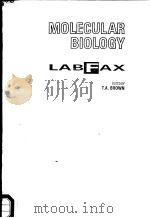 MOLECULAR BIOLOGY LABFAX 1991 PDF电子版封面 1872748007 T.A.BROWN
