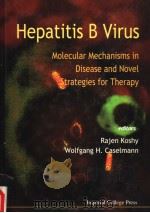 HEPATITIS B VIRUS MOLECULAR MECHANISMS IN DISEASE AND NOVEL STRATEGIES FOR THERAPY PDF电子版封面 1860940072 RAJEN KOSHY WOLFGANG H.CASELM