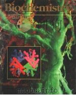 BIOCHEMISTRY（1991 PDF版）
