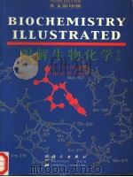 图解生物化学 第3版 1993 PDF电子版封面 7030077261 PETE N.CAMPBELL AND ANTHONY D.